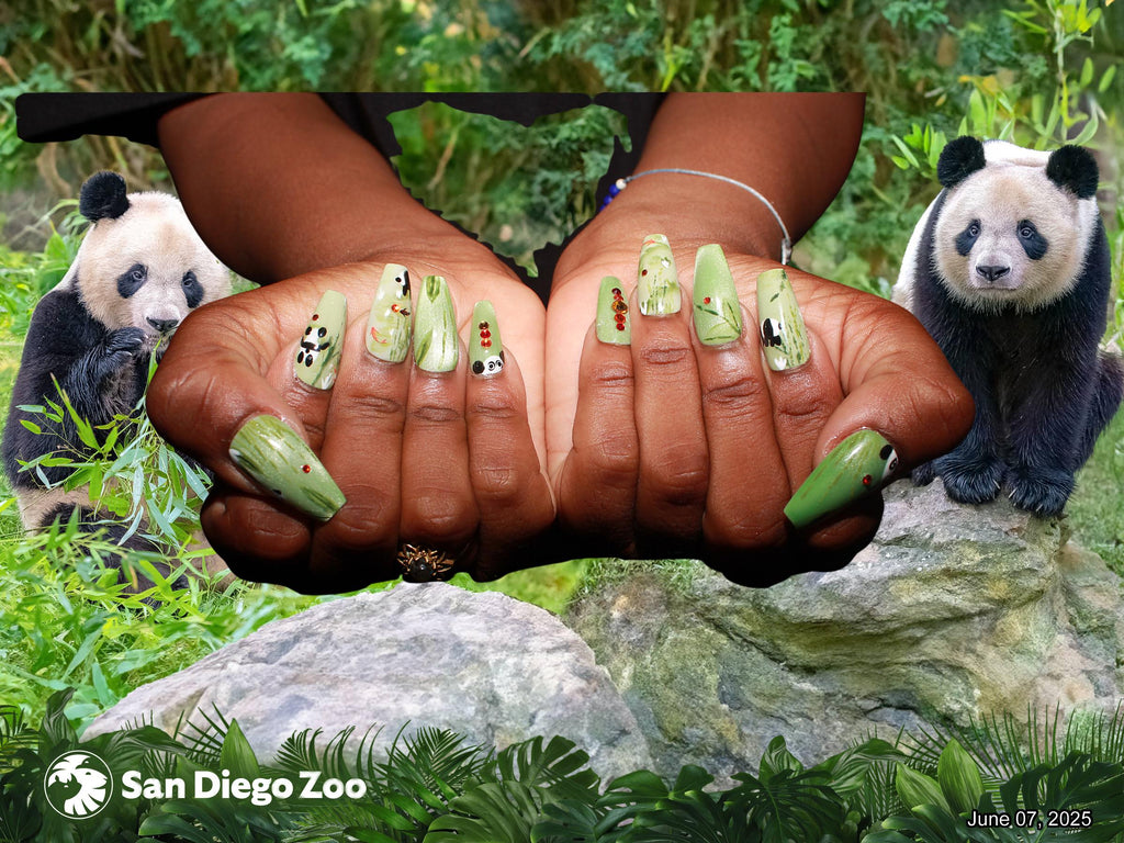 Custom Press-On Nail Set | Handpainted Nail Art | Nails by The Nail Apothecary | Trendsetter Design Tier | Nail Art Level #2